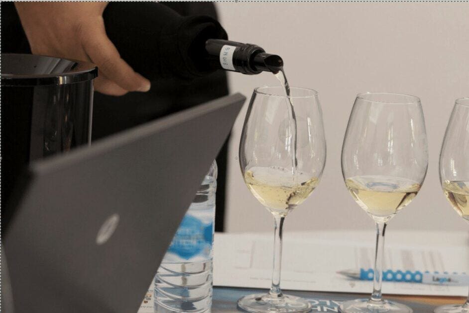 Alentejo prevê produção de 108 milhões de litros de vinho nas vindimas de 2026