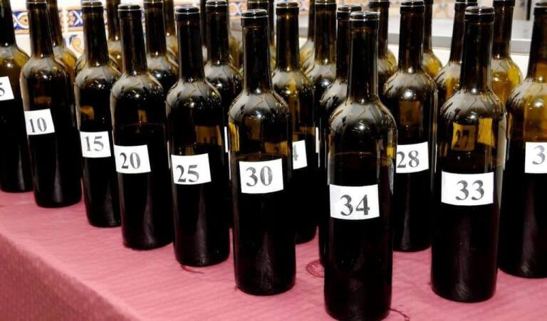 Vinhos Caseiros em prova no Grupo Desportivo e Cultural do Rio Seco