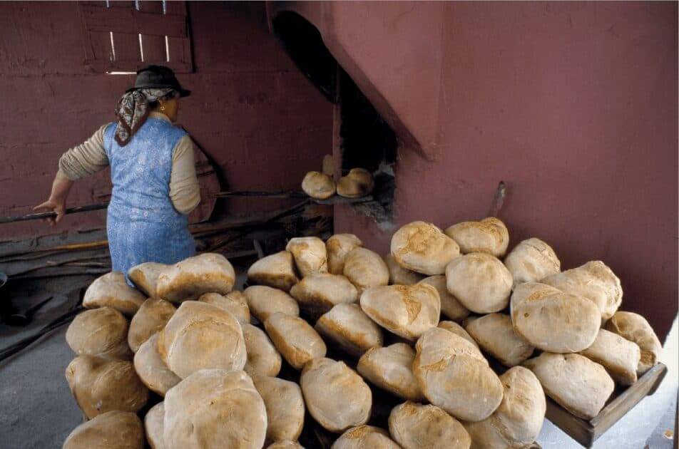 Dia Mundial do Pão