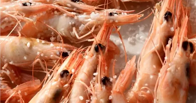 Feira do Marisco em Huelva