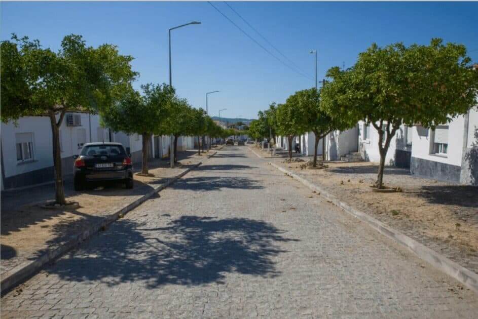 Integração socio laboral em Moura