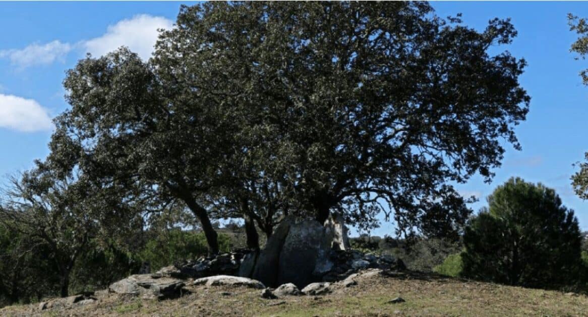 Loulé valoriza antas e escrita do Ameixial