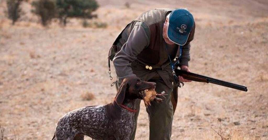 Mértola prepara-se para a XVI Feira da Caça em outubro