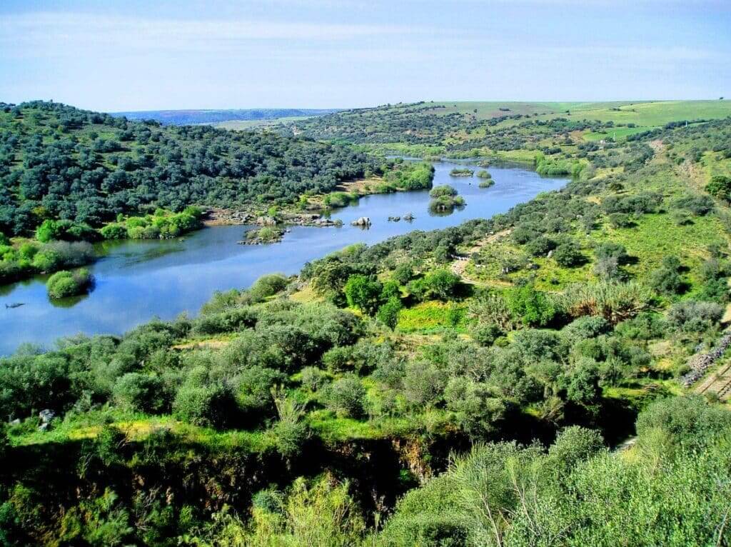 FIKE recolhe imagens do Guadiana para curtas