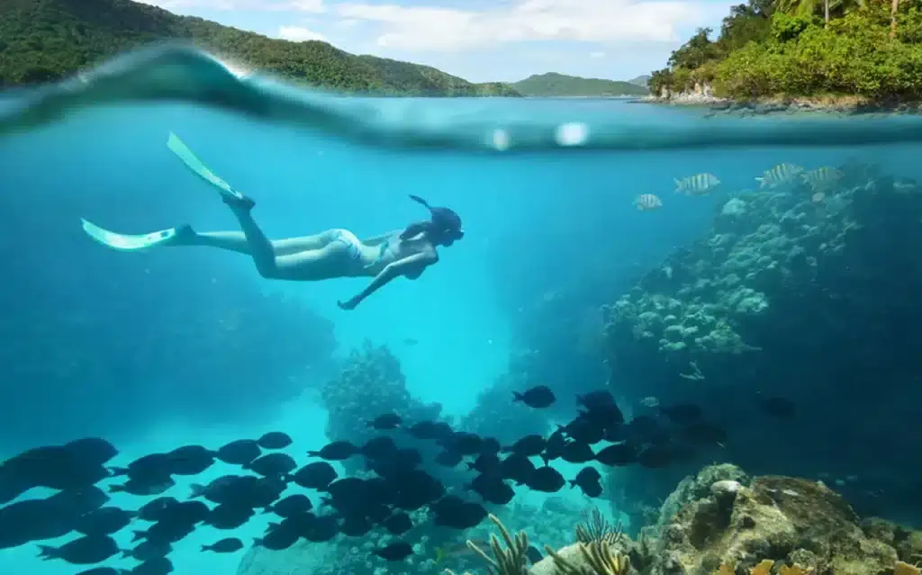 Turismo do Algarve Assinala Dia Mundial do Turismo com Inovação, Natureza e Sabores da Região