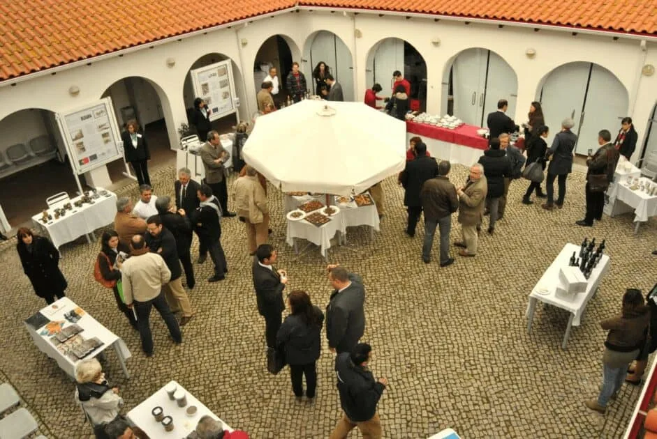Universidade de Beja cria curso profissional em turismo transfronteiriço